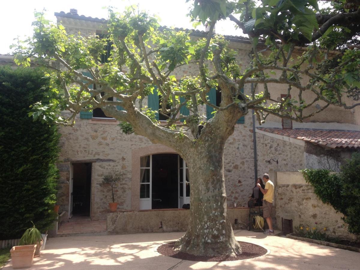 Bed and Breakfast L'Abri Du Poete Besse-sur-Issole Exterior foto